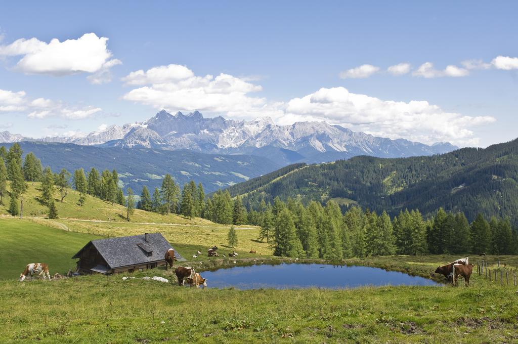 Bauernhofurlaub Sinnhubgut Altenmarkt im Pongau Exterior foto