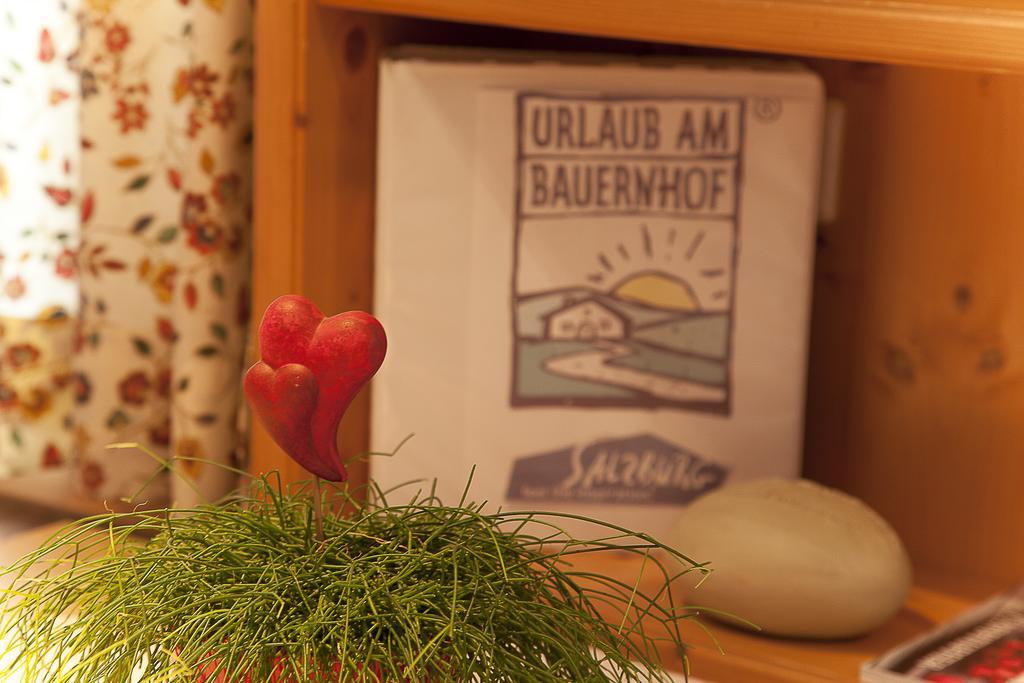 Bauernhofurlaub Sinnhubgut Altenmarkt im Pongau Habitación foto