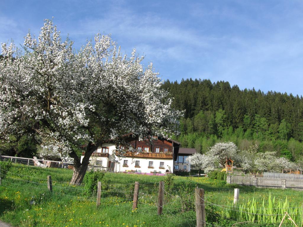 Bauernhofurlaub Sinnhubgut Altenmarkt im Pongau Exterior foto